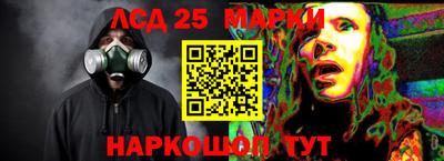 spice Дубна
