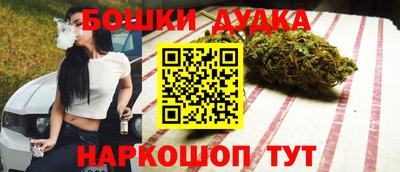 spice Дубна
